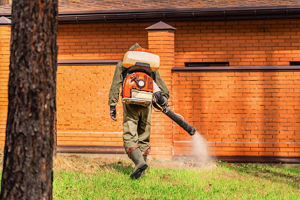 Trusted Termite Control service in Boulevard Park, WA - Nex Pest Control